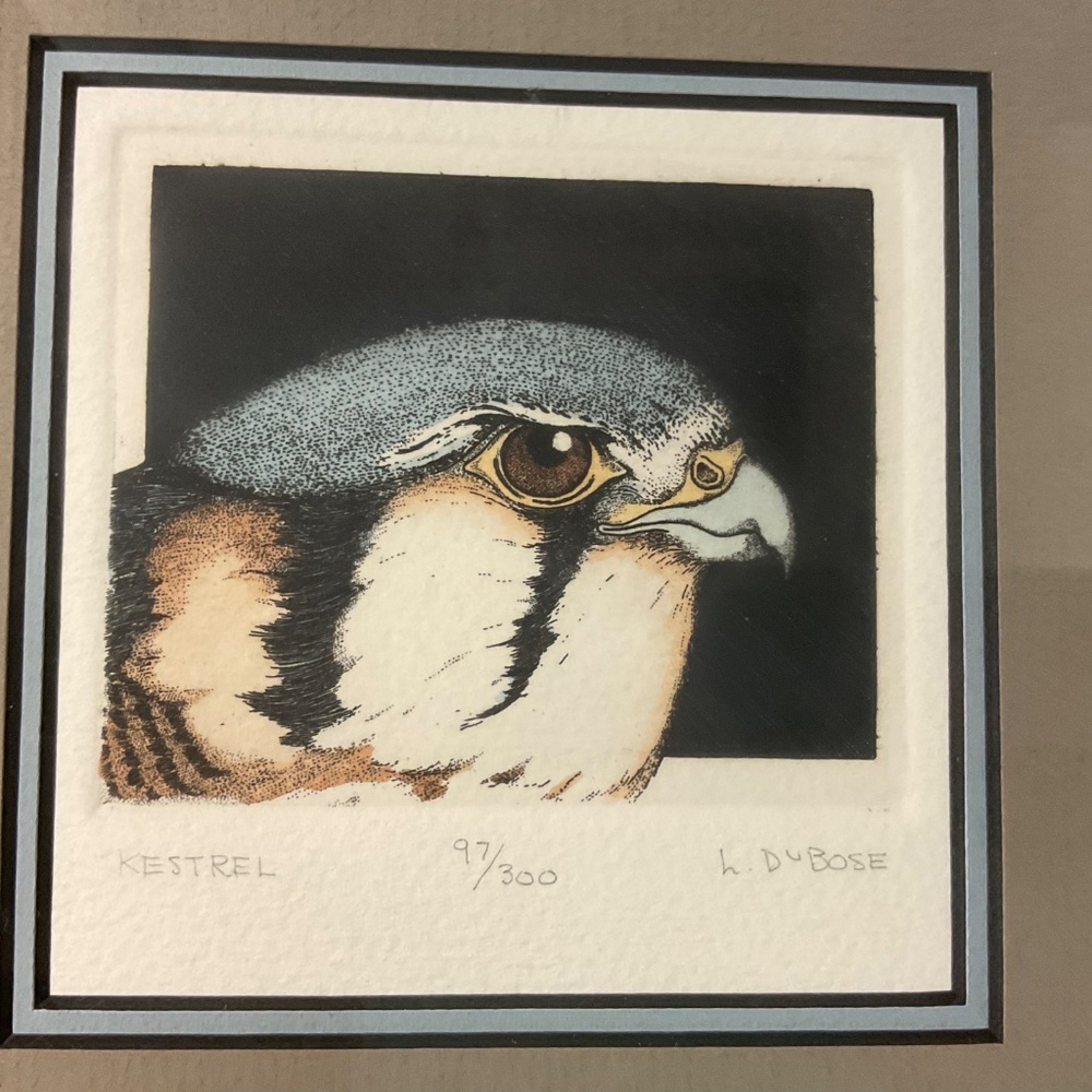 Framed 2 Eagle Prints by Lucius DuBose signed and numbered - Picture 3 of 6
